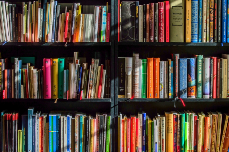 boutique-PUGET VILLE-min_books_bookstore_book_reading_shop_writer_sale_books_read-822866